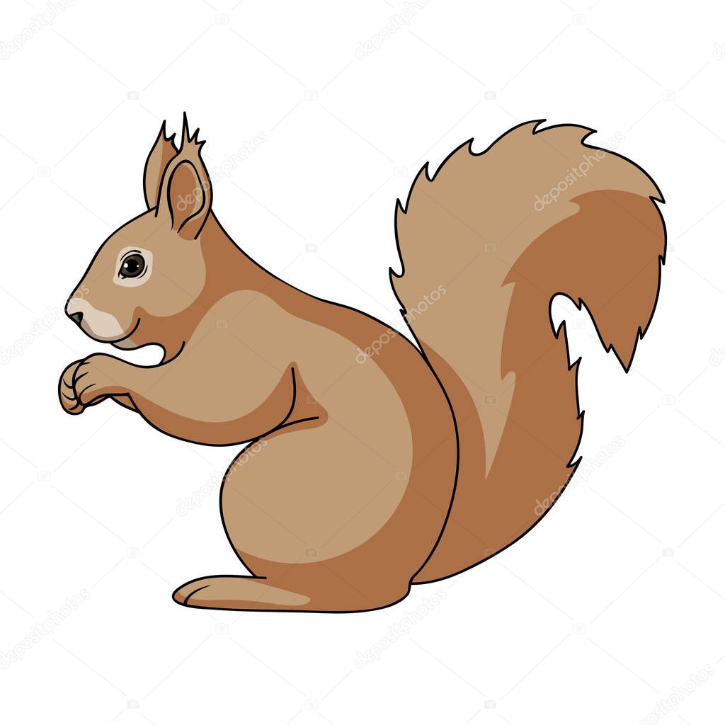 Squirrel.Animals single icon in cartoon style vector symbol stock illustration .