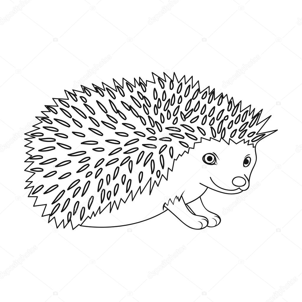 Hedgehog.Animals single icon in outline style vector symbol stock illustration .