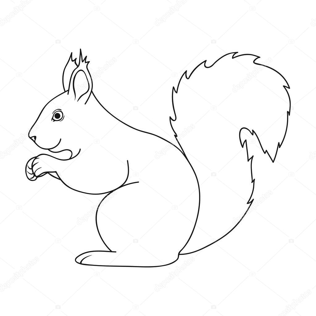 Squirrel.Animals single icon in outline style vector symbol stock illustration .