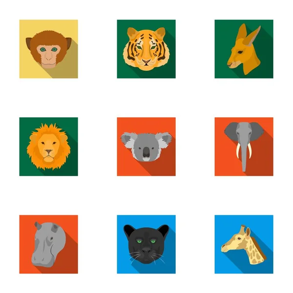 Wild Animals Signed Name Icons Set Stock Vector (Royalty Free) 1116242468