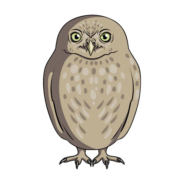 Owl.Animals одна иконка в стиле мультфильма рейтинга, растровый символ фондового иллюстрации веб . — стоковое фото