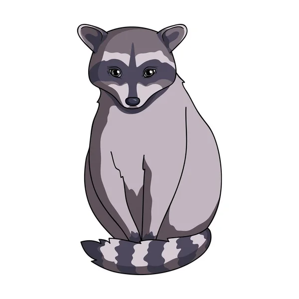 Raccoon.Animals icône unique dans le style de dessin animé rater, bitmap symbole illustration web stock . — Photo