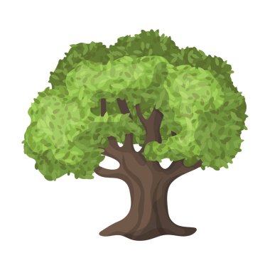 Zeytin Tree.Olives tek kutsal kişilerin resmi içinde karikatür tarzı vektör simge stok çizim web.