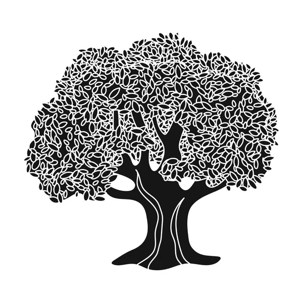 Olivo.Aceitunas icono único en el estilo negro vector símbolo stock ilustración web . — Archivo Imágenes Vectoriales