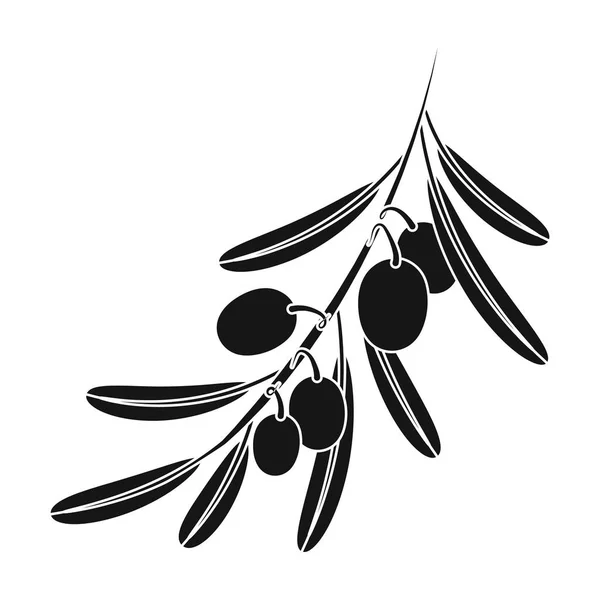Olive branch. Oliwki pojedyncza ikona w czarny styl wektor symbol ilustracji w sieci web. — Wektor stockowy