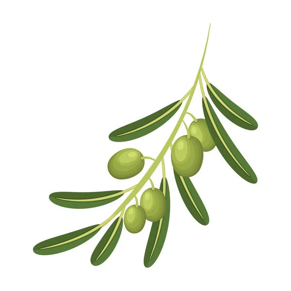 Oliva branch.Olives icono único en el estilo de dibujos animados vector símbolo stock ilustración web . — Vector de stock
