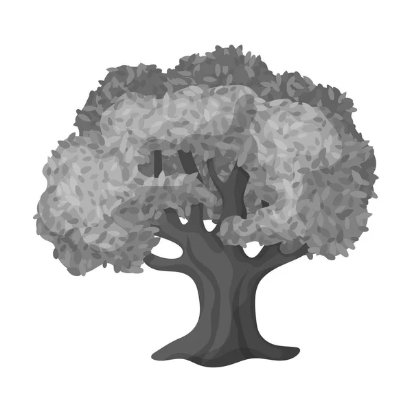 Olive Tree.Olives enda ikon i svartvit stil vektor symbol stock illustration web. — Stock vektor