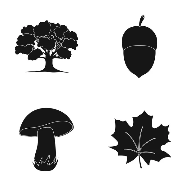 Eiken, eikel, eetbare paddestoel, esdoornblad. Forest instellen collectie iconen in zwarte stijl vector symbool stock illustratie web. — Stockvector
