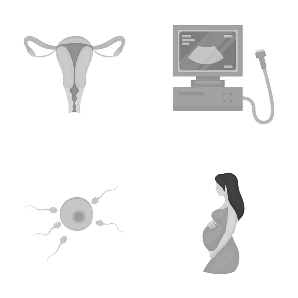 Útero, aparato de ultrasonido, fertilización. Embarazo conjunto colección iconos en el estilo monocromo vector símbolo stock ilustración web . — Vector de stock
