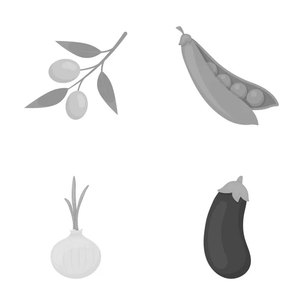 Oliviers sur une branche, pois, oignons, aubergines. Légumes ensemble icônes de la collection dans le style monochrome vectoriel symbole illustration web . — Image vectorielle