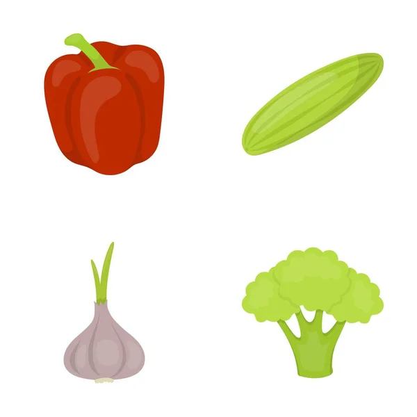 Pimenta doce vermelha, pepino verde, alho, repolho. Vegetais conjunto coleção ícones em desenho animado estilo vetor símbolo ilustração web . — Vetor de Stock