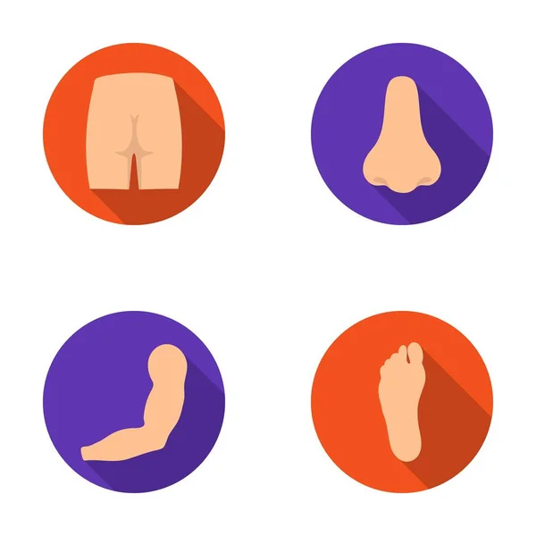 Fesses, nez, bras, pied. Partie du corps ensemble icônes de la collection dans le style plat vectoriel symbole illustration web . — Image vectorielle