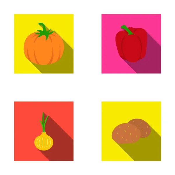Gelber Kürbis, süße rote Paprika, Zwiebeln bitter, Kartoffeln. Gemüse Set Sammlung Symbole im flachen Stil Vektor Symbol Stock Illustration Web. — Stockvektor