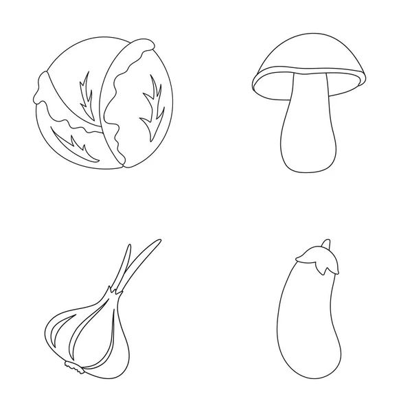 Chou blanc, forêt de champignons, ail utile, aubergine. Légumes ensemble collection icônes dans le style contour vectoriel symbole illustration web . — Image vectorielle