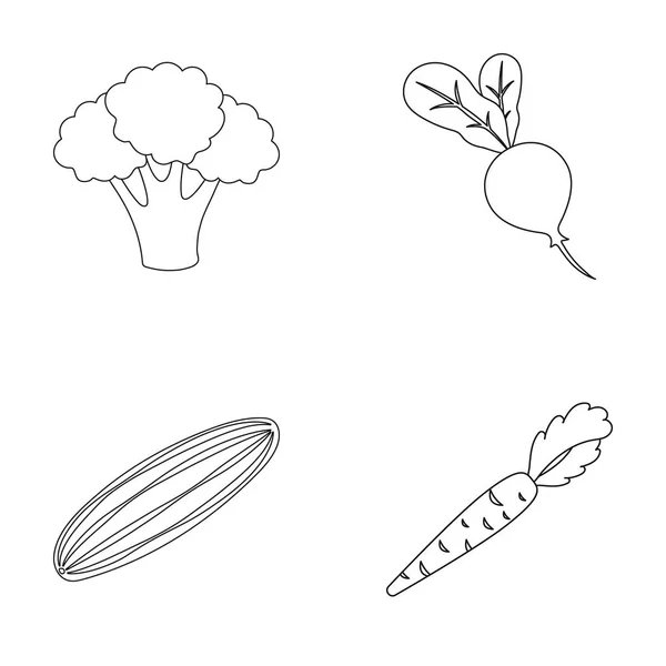 Брокколи капуста, редис, зеленый огурец, морковь с верхушками. Овощи настраивают иконки коллекции в стиле набросков векторных символов иконок . — стоковый вектор