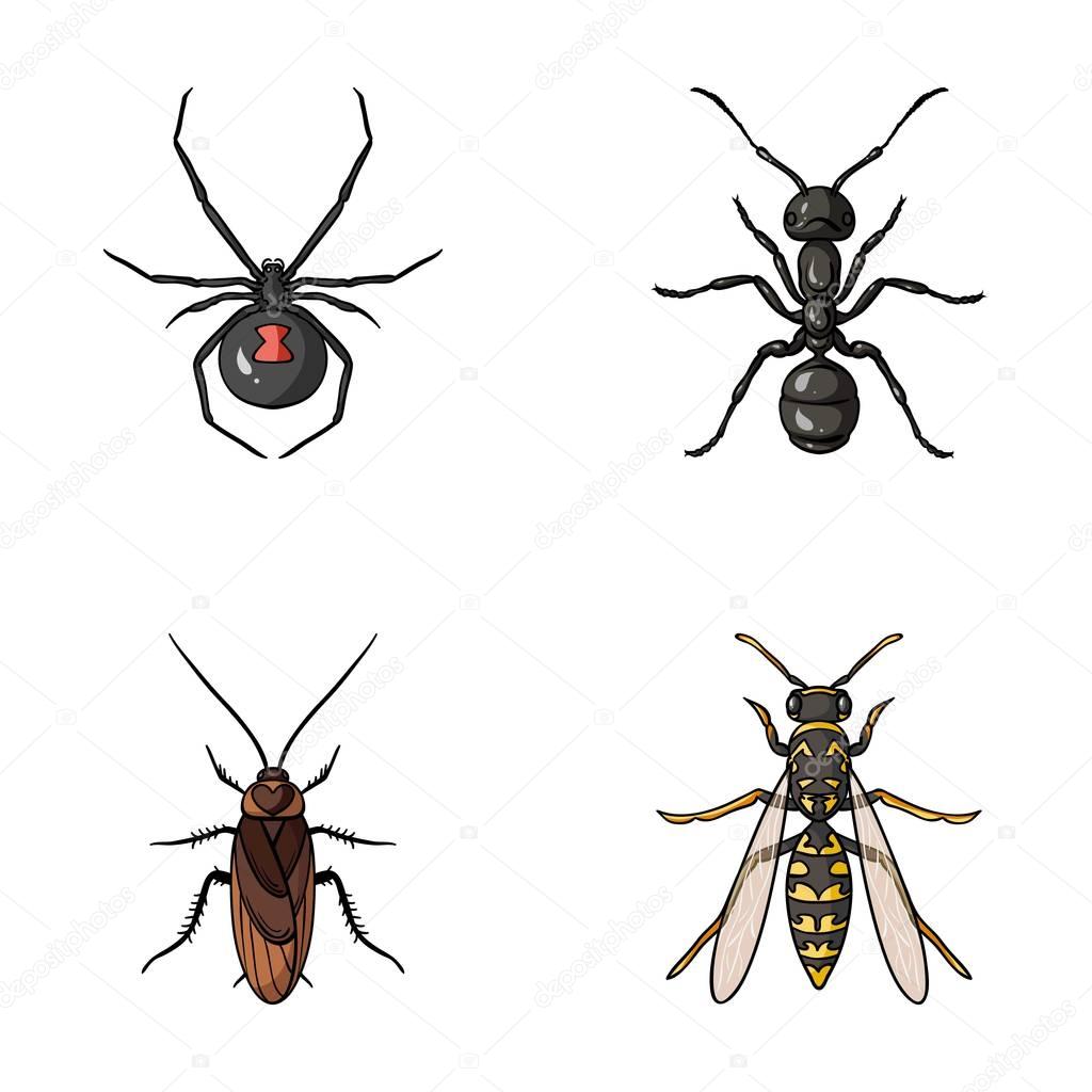 Spider, ant, wasp, bee .Insects set collection icons in cartoon style vector symbol stock illustration web.