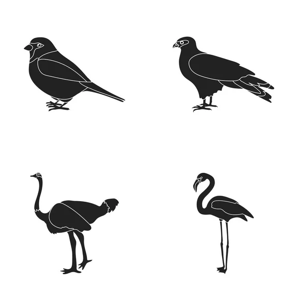 Bruant et autres espèces. Oiseaux ensemble collection icônes en noir style vectoriel symbole illustration web . — Image vectorielle