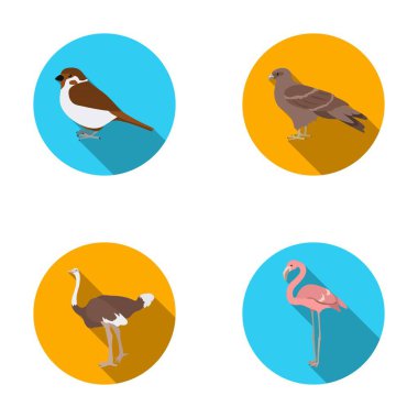 -Sparrow ve diğer türler. Kuşlar toplama simgeler düz stil vektör simge stok çizim web içinde ayarla..
