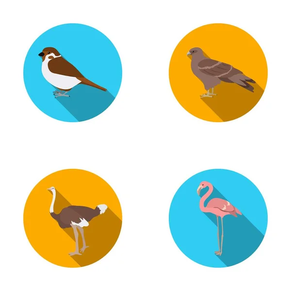 スズメや他の種。鳥がフラット スタイル ベクトル シンボル ストック イラスト web コレクションのアイコンを設定します。. — ストックベクタ