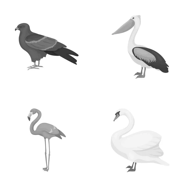 Кіт, пелікан, фламінго, лебідь. Птахи встановлюють піктограми колекції в монохромному стилі Векторний символ стокової ілюстрації веб . — стоковий вектор