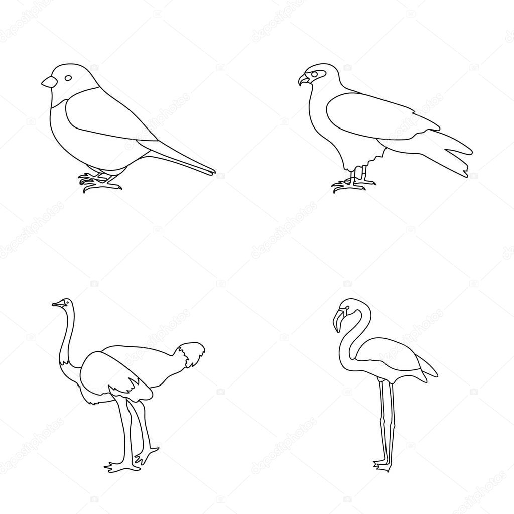 Sparrow and other species. Birds set collection icons in outline style vector symbol stock illustration .