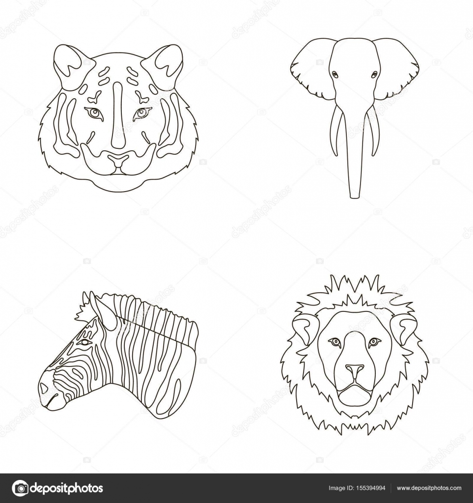 動物画像のすべて ロイヤリティフリーリアル 白黒 ライオン イラスト