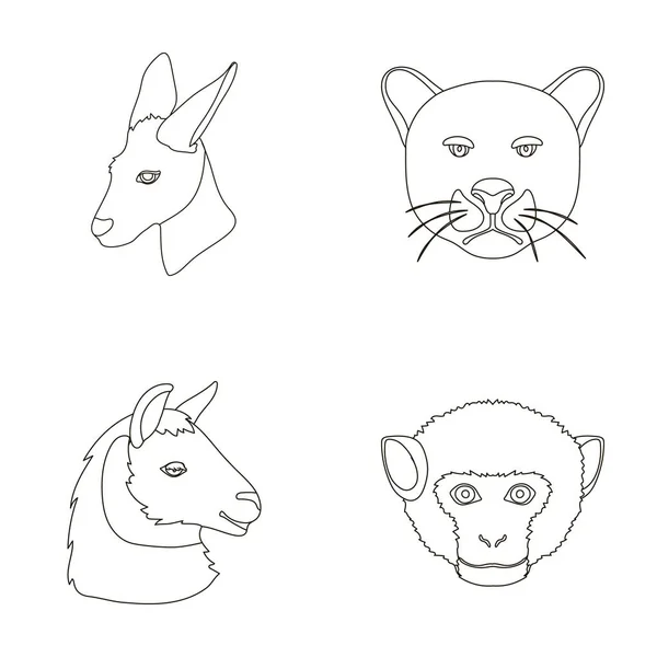 Kängurur, lamadjur, apa, panther, realistiska djur som samling ikoner i disposition stil vektor symbol stock illustration web. — Stock vektor