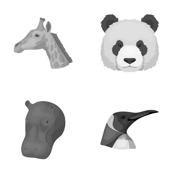 熊猫、 长颈鹿、 河马、 企鹅，写实的动物在单色风格矢量符号股票图 web 设置集合图标. — 图库矢量图片