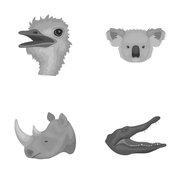 Avestruz, koala, rinoceronte, cocodrilo, animales realistas conjunto colección iconos en el estilo monocromo vector símbolo stock illustration web . — Archivo Imágenes Vectoriales