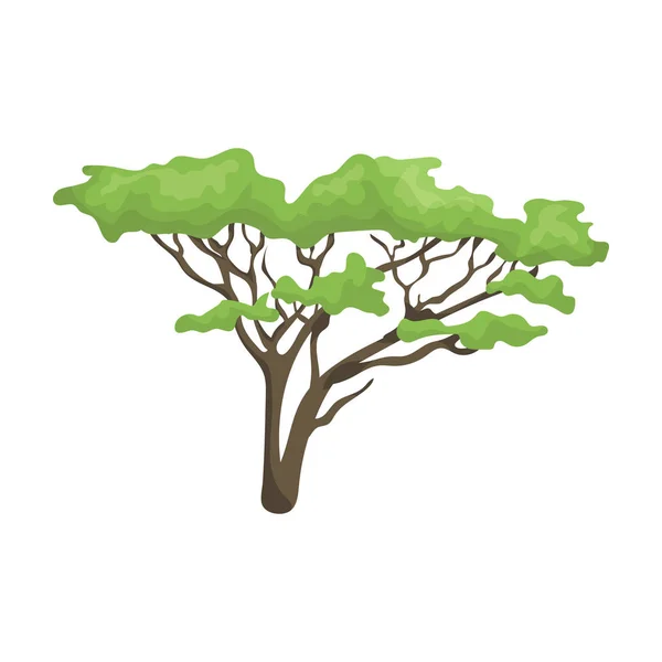 Tree in the savannah.African safari single icon in cartoon style vector symbol stock illustration web. — Stock Vector