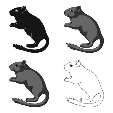 Gri bir fare. Hayvanlar karikatür tarzı vektör simge stok çizim web simgesinde tek.