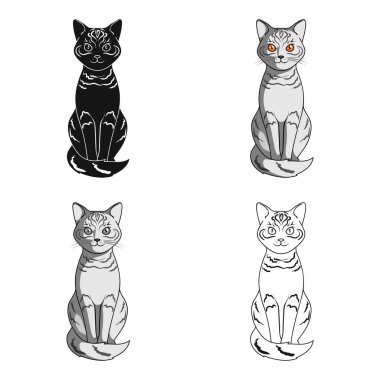 Gri kedi. Hayvanlar karikatür tarzı vektör simge stok çizim web simgesinde tek.