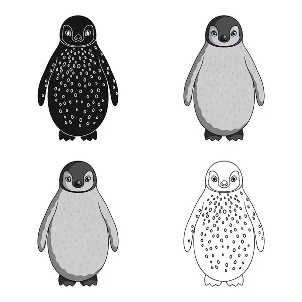 Pingouin.Animals icône unique dans le style de dessin animé vectoriel symbole illustration web . — Image vectorielle