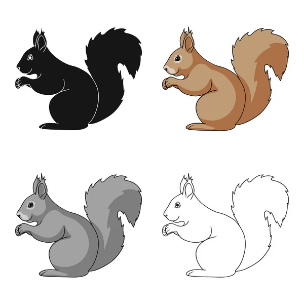 Squirrel.Animals singola icona in stile cartone animato vettore simbolo stock illustrazione web . — Vettoriale Stock