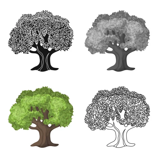 Olive Tree.Olives één pictogram in cartoon stijl vector symbool stock illustratie web. — Stockvector