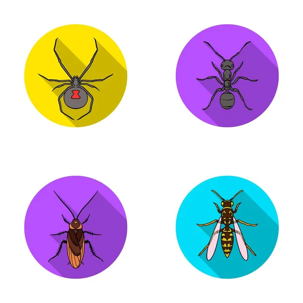 Spider, ant, wasp, bee .Insects set collection icons in flat style vector symbol stock illustration web. — Stock Vector