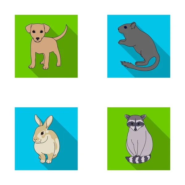 Štěně, hlodavec, králík a jiných živočišných druhů. Zvířata sada kolekce ikon v ploché styl vektor symbol akcií ilustrace web. — Stockový vektor
