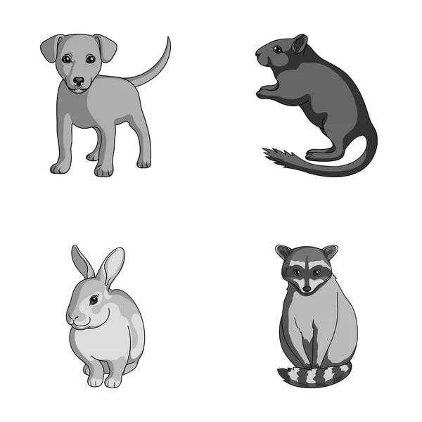 Welpen, Nagetiere, Kaninchen und andere Tierarten. Tiere setzen Sammlungssymbole im monochromen Stil Vektor-Symbol Stock Illustration Web. — Stockvektor