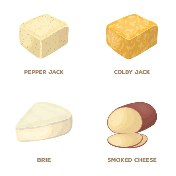 Brynza, ahumado, colby jack, pimienta jack.Different tipos de iconos colección conjunto de queso en el estilo de dibujos animados vector símbolo stock ilustración web . — Archivo Imágenes Vectoriales