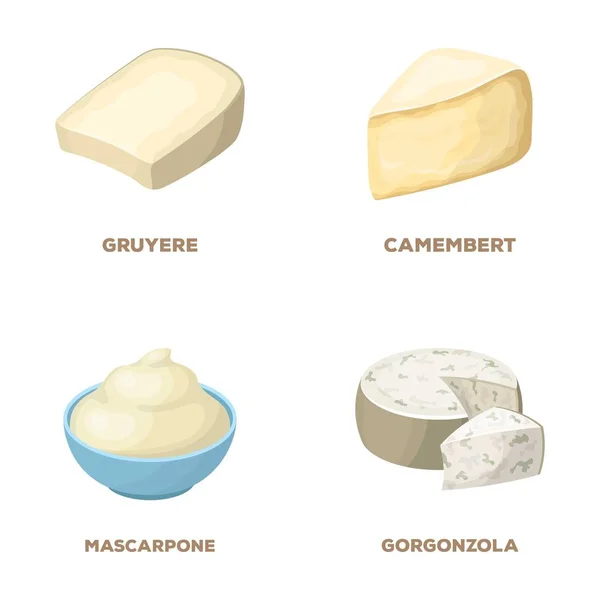 Gruyere, camembert, mascarpone, gorgonzola.Different tipos de iconos colección conjunto de queso en el estilo de dibujos animados vector símbolo stock ilustración web . — Vector de stock