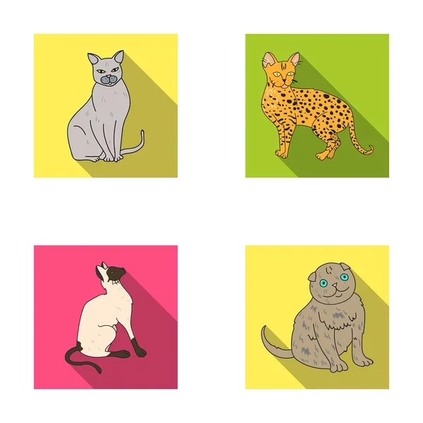 シャムや他の種。猫の品種は、フラット スタイル ベクトル シンボル ストック イラスト web でコレクションのアイコンを設定します。. — ストックベクタ