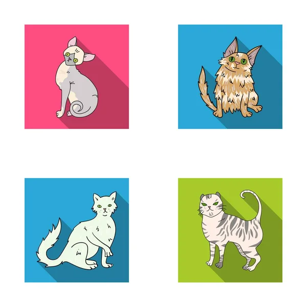 Angora turca, longhair britannico e altre specie. Razze gatto set icone di raccolta in stile piatto vettore simbolo stock illustrazione web . — Vettoriale Stock