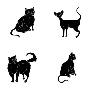 Farsça, Cornish rex ve diğer türler. Kedi doğurmak toplama simgeler siyah stil vektör simge stok çizim web içinde ayarla..