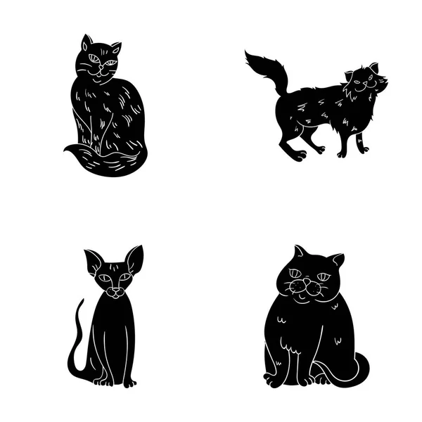 Sfinga, Nibelungů, Norská lesní kočka a dalších druhů. Kočičí plemena sada kolekce ikon v černém stylu vektor symbol skladem ilustrace web. — Stockový vektor