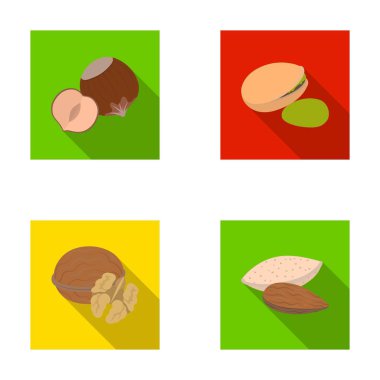 Fındık, fıstık, ceviz, badem. Farklı türdeki fındık toplama simgeler düz stil vektör simge stok çizim web ayarlayın..