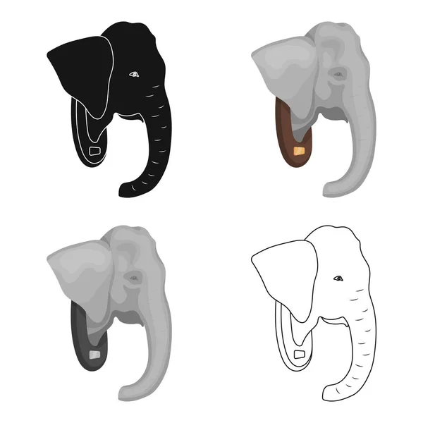 Elefante recheado head.African safari único ícone em desenho animado estilo vetor símbolo estoque ilustração web . —  Vetores de Stock