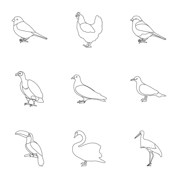 Pájaro establecer iconos en el estilo de contorno. Gran colección de aves vector símbolo stock ilustración — Vector de stock