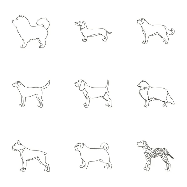 Races de chiens mis icônes dans le style de contour. Grande collection de races de chiens vecteur symbole illustration de stock — Image vectorielle