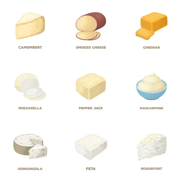 Parmesão, roquefort, maasdam, gauda.Different tipos de ícones de coleção de conjunto de queijo em desenho animado estilo vetor símbolo estoque ilustração web . — Vetor de Stock