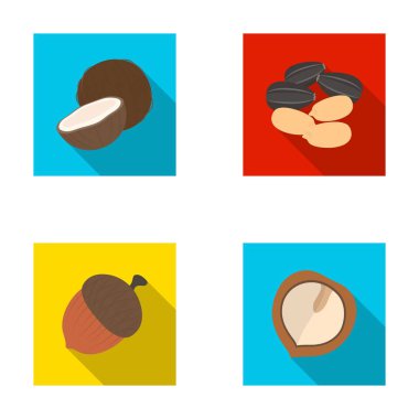 Hindistan cevizi, meşe palamudu, ayçiçeği tohumu, manchueian ceviz. Farklı türdeki fındık toplama simgeler düz stil vektör simge stok çizim web ayarlayın..